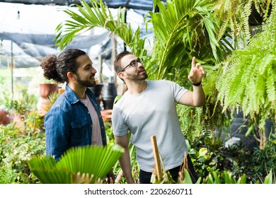 Attractive Happy Gay Couple Love Gardening Talking While Shopping Together For A New Beautiful Green Plant 