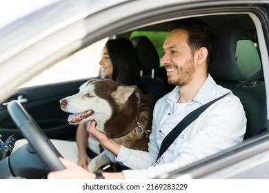 Attractive Happy Man Driving And Going On A Holiday Trip With His Partner And His Husky Dog