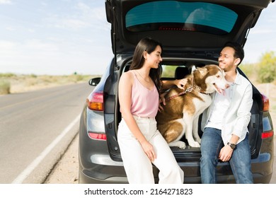 607 Happy Man Smiling Driving Dog Images, Stock Photos & Vectors 