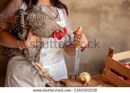 Attractive Indian woman cook posing in kitchen with chicken in her hands. young beautiful woman. Positive emotions, facial expressions, feelings, signs and symbols, body language. white chef uniform
