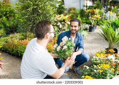 Attractive Latin Man Smiling To His Gay Partner While Buying New Green Plants And Flowers At The Nursery Garden