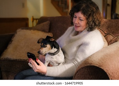 Attractive Mature Woman Sitting On Sofa With Cute Small Dog In Her Lap Looking At Her Smartphone; Dog Looking At The Phone, Too.