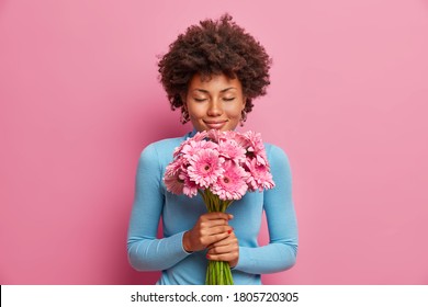 Attractive pleased dark skinned model receives flowers as present, stands with closed eyes, enjoys her favorite gerberas, isolated on pink background. Romantic portrait. Woman gets gift from husband
