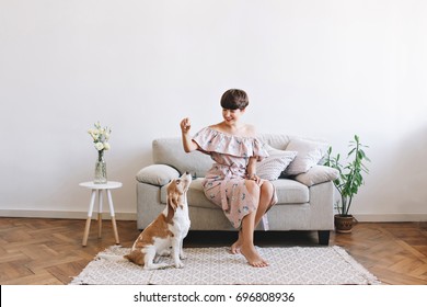 Attractive Smiling Girl Wears Retro Dress Posing In Room Decorated With Vase And Plant. Indoor Portrait Of Amazing Woman Playing With Beagle Dog While It Waits For Food.