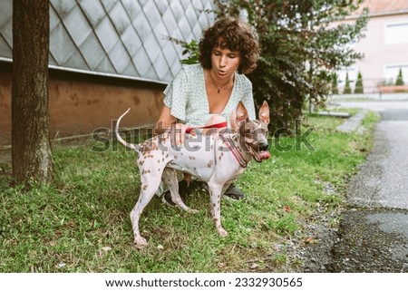 Attractive teenager girl with brown curly hair walks pet, dog rare breed american hairless terrier, summer season, european town. concept caring and caring for pet, friendship with pets