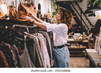 Attractive trendy dressed woman choosing clothes in fashion store concentrated on decision for shopping, stylish curly female searching wear in showroom of talented designer creating trendy look