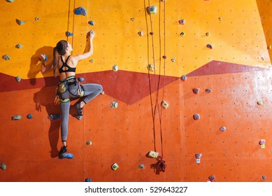 Attractive Woman Climbing Up The Wall In Gym