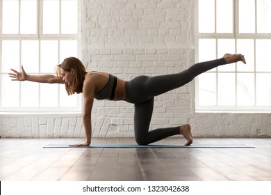 Attractive woman in grey sportswear, bra and leggings practicing yoga, standing in Bird dog pose, beautiful girl doing Donkey Kick exercise at home or in yoga studio with white walls background