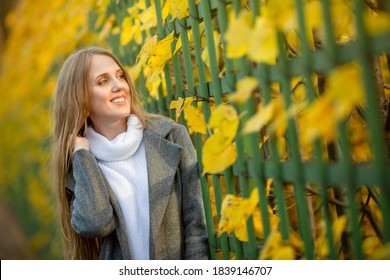 Attractive Woman Light Brown Hair Near Stock Photo 2205867437 ...