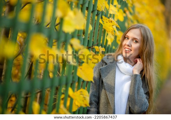 Attractive Woman Light Brown Hair Near Stock Photo 2205867437 ...