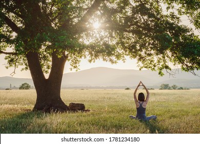 Attractive woman practices yoga in nature in summer. Healthy lifestyle. Fitness and sport. outdoor harmony with nature, calm scene