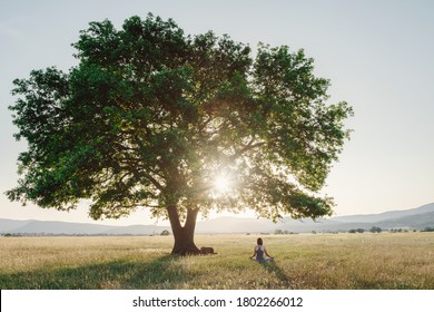 Attractive Woman Practices Yoga In Nature In Summer. Healthy Lifestyle. Fitness And Sport. Outdoor Harmony With Nature, Calm Scene