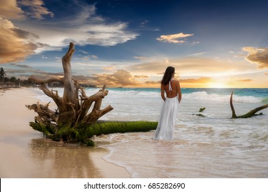 Attractive woman in a white dress stands next to a driftwood tree on a caribbean beach during sunset - Powered by Shutterstock