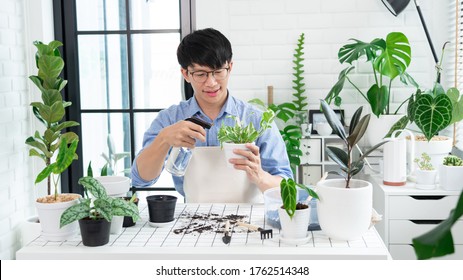 Attractive Young Asian Man Taking Care Water The Household Plants Pots Near Window, Gardening At Home Concept.