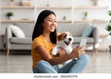 Attractive Young Asian Woman Holding Fluffy Puppy And Taking Selfie On Smartphone While Enjoying Time Together At Home, Happy Jack Russel Terrier Owner Taking Photos With Dog, Copy Space