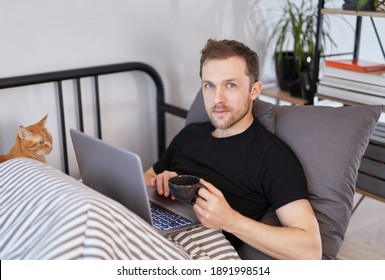 Attractive Young Bearded Man In Black T-shirt Sitting In A Bed Of His Home Office Working On A Laptop And Looking Straight At Camera With A Domestic Ginger Cat Sitting Near Him. Work From Home Concept