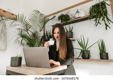 Attractive young business woman in suit uses laptop in stylish light cafe and drinks coffee, looks intently at computer screen. Business lady blower working on laptop while having coffee break. - Shutterstock ID 1676568178