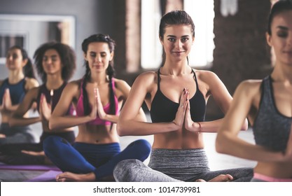 Attractive young sport girls are doing yoga together. Group training. Healthy lifestyle concept.