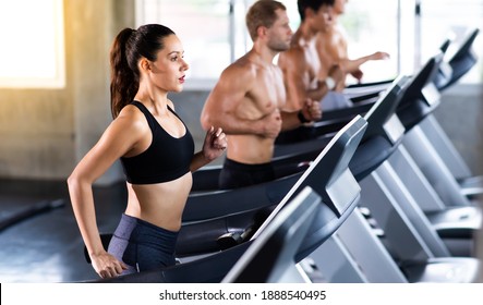 Attractive Young Woman And Female Running On Treadmill  Machine At Gym Sports Club. Fitness Healthy Lifestye And Workout At Gym Concept.