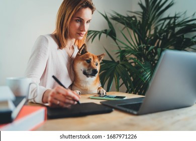 Attractive Young Woman Graphic Designer Working At Home Office Remotely Sitting With Best Friend Dog Using Digital Graphic Tablet, Professional Female Retoucher Sitting At Modern Home Workspace