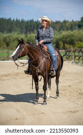Attractive Young Woman On Her Beautiful Quarter Horse Mare Standing In A Paddock On A Sunny Summer Day.  Horse.  Horse And Rider.  Quarter Horse. Trainer. Training. Background. Bridle. Saddle. 