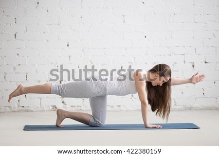 Attractive young woman working out indoors. Beautiful model doing exercises on blue mat in room with white walls. Bird-dog or kneeling opposite arm and leg extension (chakravakasana). Full length