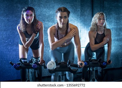 Attractive young women doing exercises on cycling bikes together indoors - Powered by Shutterstock