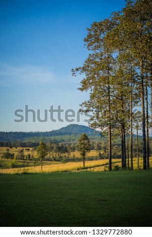 Atumn forest trees, nature green wood mountain backgrounds. 