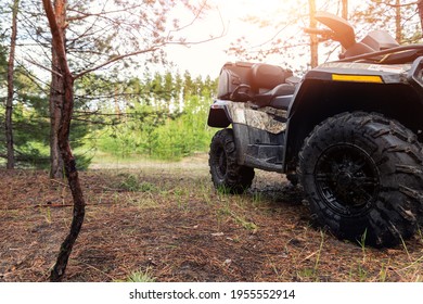 ATV awd quadbike motorcycle pov view near tree in coniferous pine foggy forest with beautiful nature landscape morning mist. Offroad travel adventure trip expedition. Extreme recreation activity