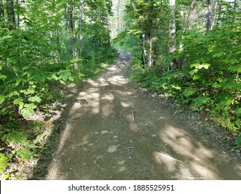 ATV path through the woods in Maine