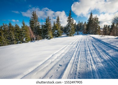 ATV and ski tracks in the snow on a sunny frosty winter day. Concept of relaxation in the winter mountains in Europe. Advertising space