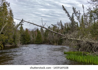 The Au Sable River Outside Of Grayling, Michigan.