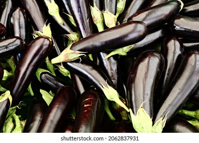 Aubergine View From The Market