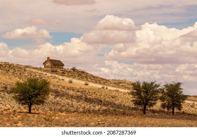 Auchterlonie In The Kgalagadi Transfrontier Park