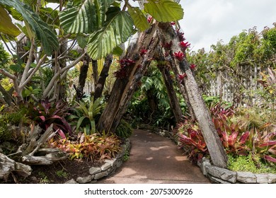 Auckland Botanic Gardens, Located In Manurewa