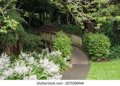 Auckland Botanic Gardens, Located In Manurewa