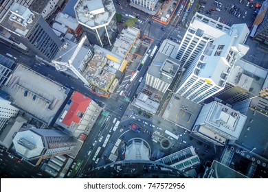 Auckland City. Buildings Aerial Top View, New Zealand