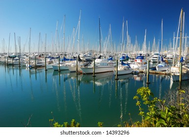 Auckland, City Of Sails, New Zealand