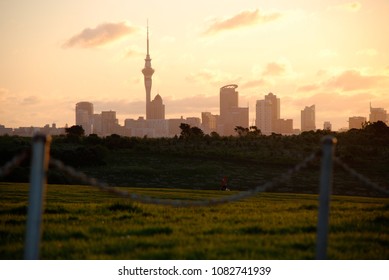 Auckland City Sunrise