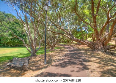 Auckland Domain Park In New Zealand