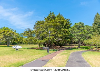 Auckland Domain Park In New Zealand