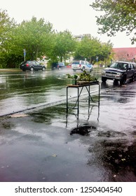 Auckland, New Zealand - February 04, 2015: Ponsonby Road, Stormy Day Over Auckland, New Zealand.