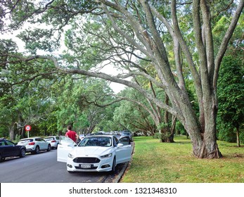 Royalty Free Domain Car Park Stock Images Photos Vectors