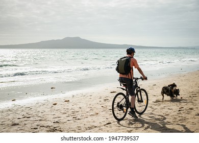 Auckland, New Zealand - February 8 2021: A Man Cycling On The Milford Beach With Rangitoto Island In The Distance. A Dog Chasing The Ball Running In Front Of The Cyclist.  