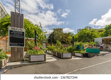 Auckland, New Zealand - January 04, 2019: People Enjoying At The Griffiths Gardens And The Community Fridge, An Auckland Community Initiative To Help Share Excess Food With People Who Need It.