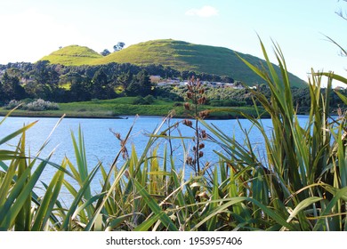 AUCKLAND, NEW ZEALAND - JUNE 01, 2018: Watercare Coastal Walkway In Mangere, South Auckland.