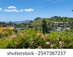 Auckland, New Zealand maunga or ancestral mountains. Extinct volcanic cones. Ōhinerau Mt Hobson in foreground, Maungauika North Head and Rangitoto Island in distance. View from Te Kōpuke Mt St John.