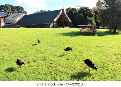 AUCKLAND / NEW ZEALAND - MAY 20, 2018: Maori Culture At Te Noho Kotahitanga Marae On Unitec Campus In Auckland, Aotearoa / New Zealand.