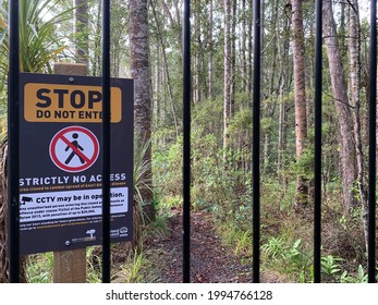 Auckland  New Zealand - May 21, 2021: Stop Sign No Access Reserve Area Save Kauri Dieback