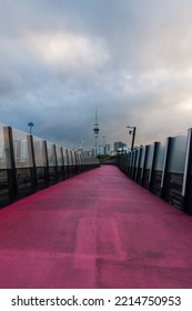 Auckland, New Zealand - October 6, 2022: Auckland City Centre View Of Nelson Street Cycleway.